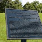 OTRA2014_1064 (September 01, 2014)